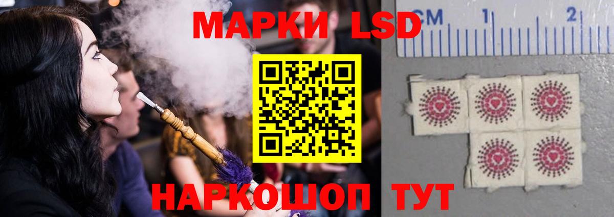 Новозыбков  Лсд 25 экстази кислота  Вход с VPN  Лсд 25 экстази кислота 