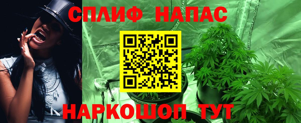 Бошки марихуана OG Kush  Марихуана White Widow  Вход с VPN  Новозыбков  Бошки марихуана OG Kush 